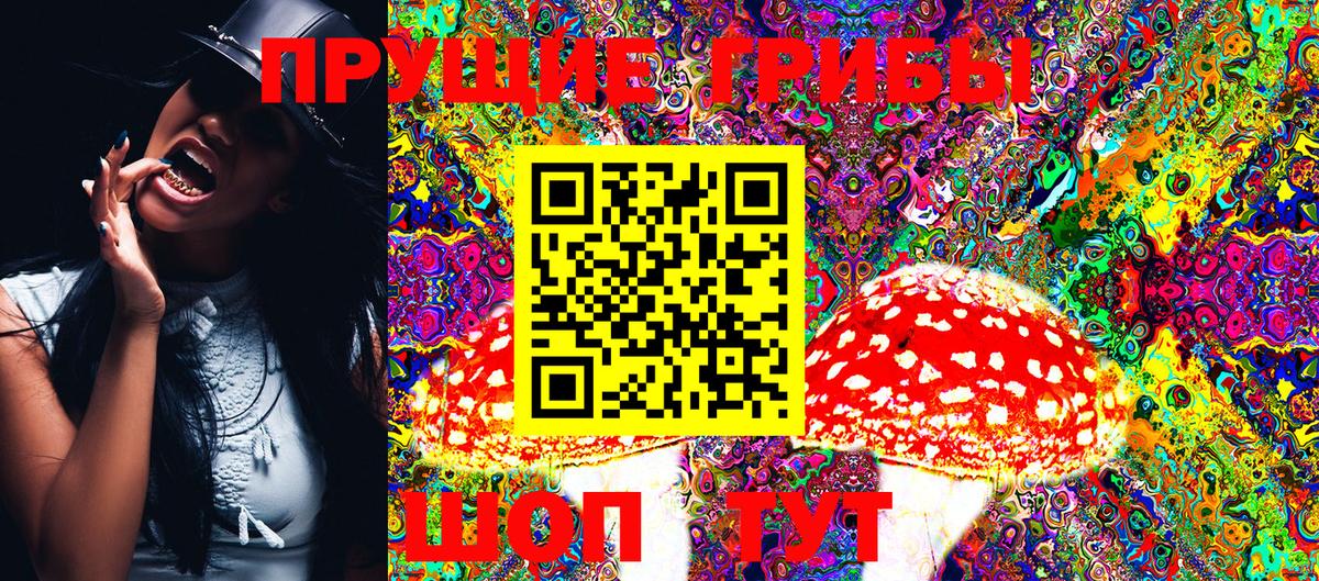 Псилоцибиновые грибы Magic Shrooms  Галлюциногенные грибы мицелий  Верхняя Пышма  Вход с VPN 